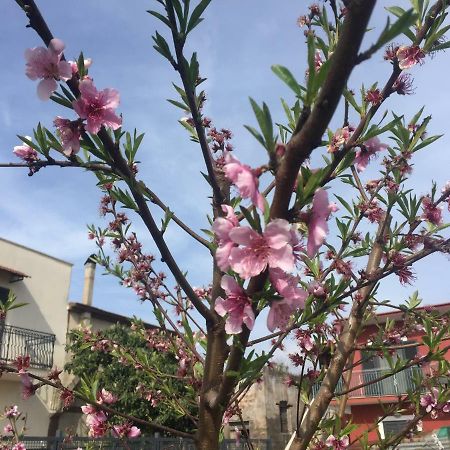 Il Giardino Di Nonno Agostino Bed & Breakfast Castellammare di Stabia Luaran gambar